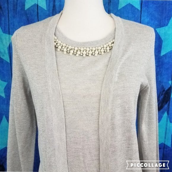 NOTATIONS Silver Metallic Pullover Sweater Blouse - Women's PM - Picture 7 of 11